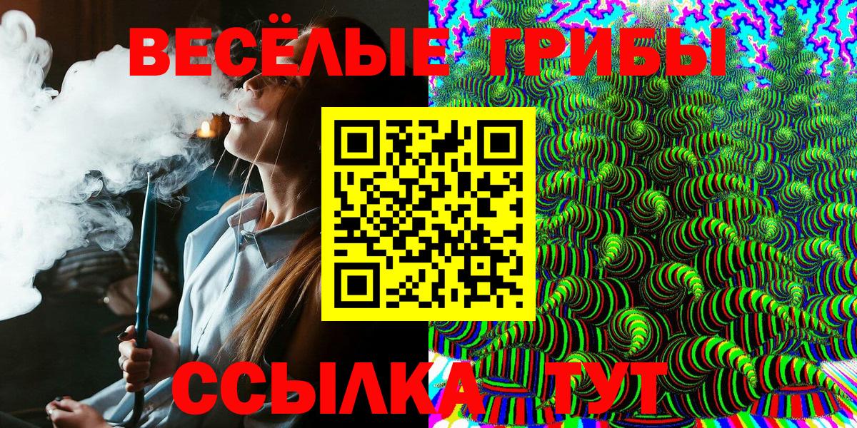 Норильск  Псилоцибиновые грибы Psilocybe  что такое   Вход с VPN 